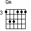 Gm=133111_3