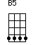 B5=4444_1