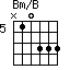 Bm/B=N10333_5