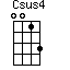 Csus4=0013_1