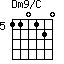 Dm9/C=110120_5
