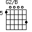 G2/B=100003_5
