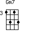 Gm7=1313_3
