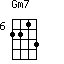Gm7=2213_6