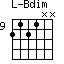 Bdim=2121NN_9