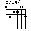 Bdim7=N21102_1