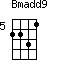 Bmadd9=2231_5