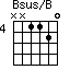 Bsus/B=NN1120_4