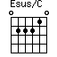 Esus/C=022210_1