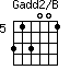 Gadd2/B=313001_5