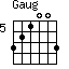 Gaug=321003_5