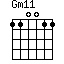 Gm11=110011_1