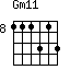 Gm11=111313_8