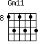 Gm11=131313_8