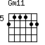Gm11=211122_5