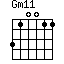 Gm11=310011_1