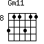Gm11=311311_8