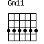 Gm11=333333_1
