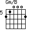 Gm/B=210002_5