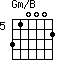 Gm/B=310002_5