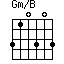 Gm/B=310303_1