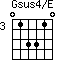 Gsus4/E=013310_3
