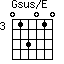 Gsus/E=013010_3