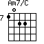 Am7/C=1022_7