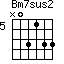 Bm7sus2=N03133_5