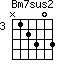 Bm7sus2=N12303_3