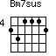 Bm7sus=231112_4