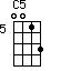 C5=0013_5