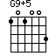 G9+5=101003_1