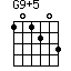 G9+5=101203_1