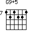 G9+5=121221_7