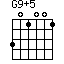 G9+5=301001_1