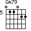 Gm79=011022_5