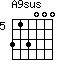 A9sus=313000_5