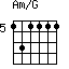 Am/G=131111_5