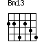Bm13=224234_1