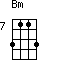 Bm=3113_7