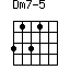 Dm7-5=3131_1