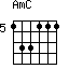 AmC=133111_5