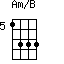 Am/B=1333_5