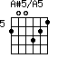 A#5/A5=200321_5