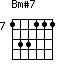 Bm#7=133111_7
