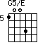 G5/E=1003_5