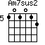 Am7sus2=101012_5