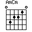 AmCm=032210_1