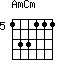 AmCm=133111_5
